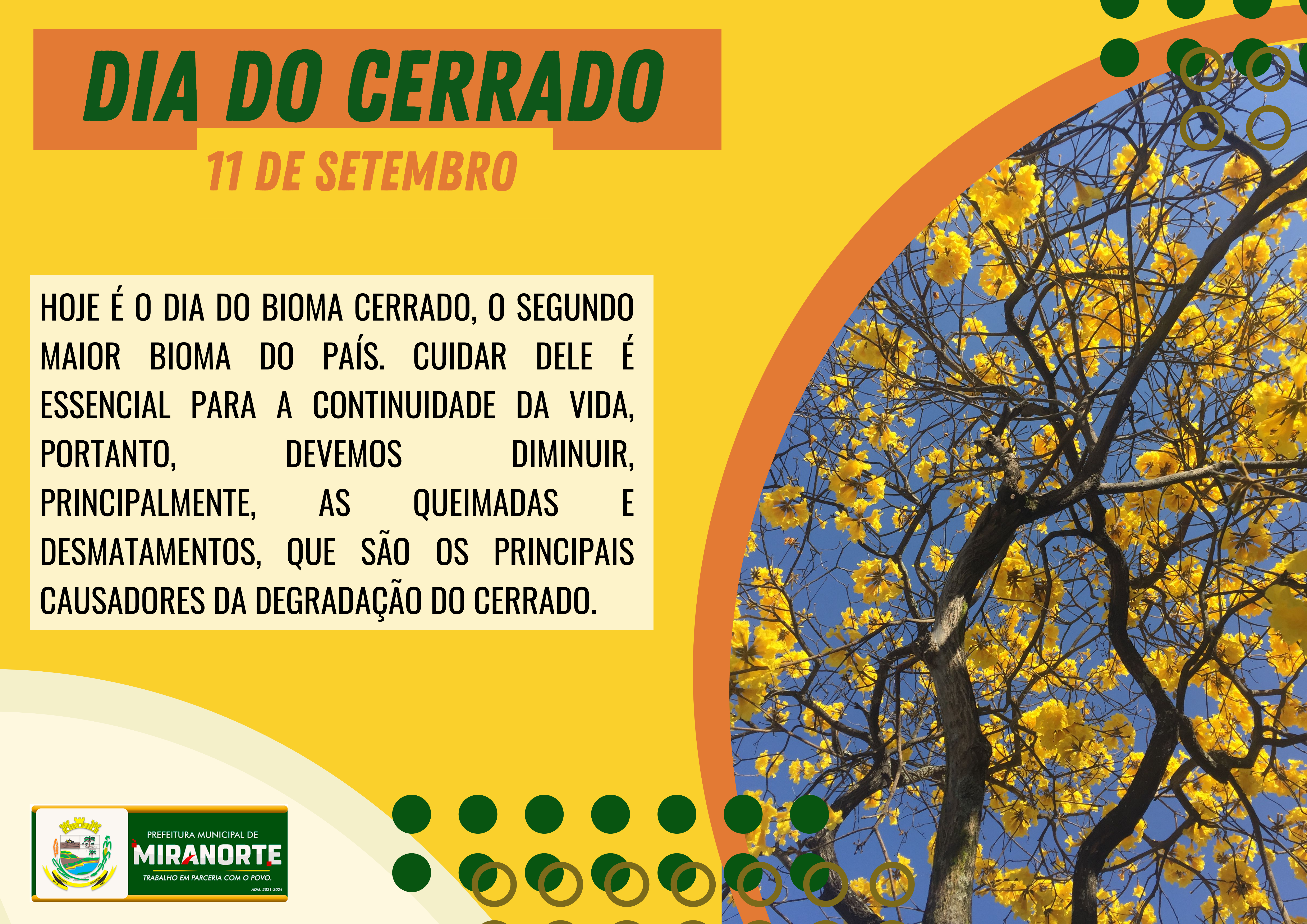 "O Cerrado: Guardião da Diversidade e da Vida"