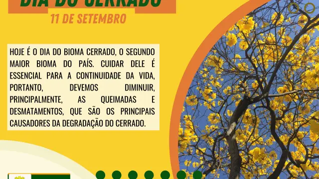 "O Cerrado: Guardião da Diversidade e da Vida"