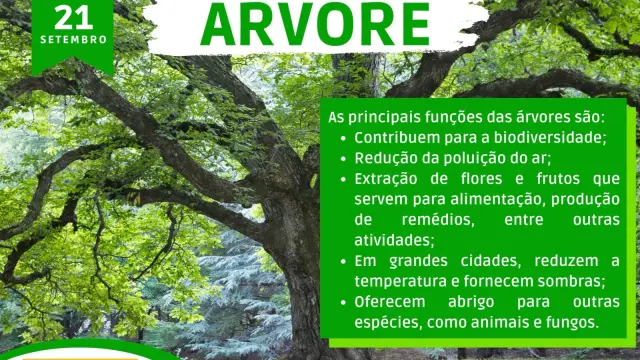 DIA DA ARVORE